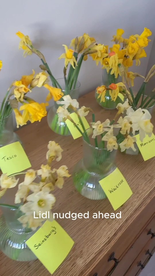 Daffodils in vases labeled with supermarket names.