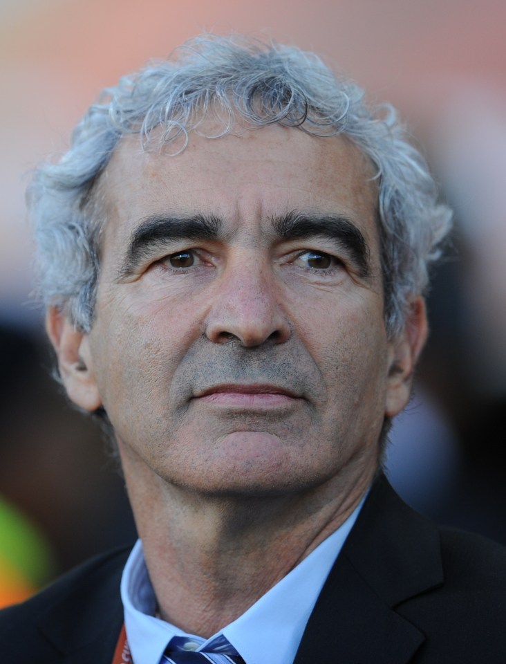 Headshot of Raymond Domenech.