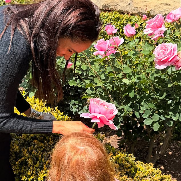 On Sunday Meghan treated us to pictures of Archie, five, and his three-year-old sister Lilibet picking roses in the garden of the family’s Montecito mansion