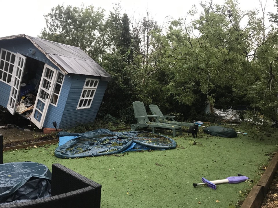 Fallen tree damaged garden shed, pool, and other garden features.