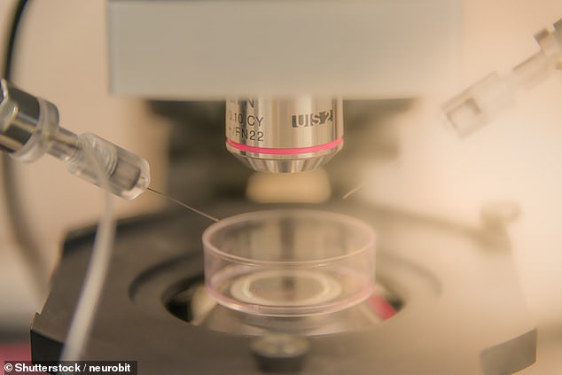 The team from the University of Edinburgh used the healthy brain tissue from living NHS patients and exposed it to a protein linked to Alzheimer's, from patients who passed away from it. Pictured: Stock image