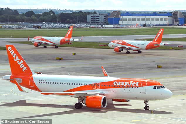 The mother-of-three said she had had no issue going through the airport security but staff at the gate told her if she couldn't fit the milk in her cabin bag she would have to pay £50 (tock image)