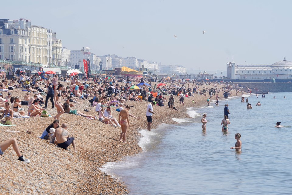 Crowded Brighton beach on a warm day.