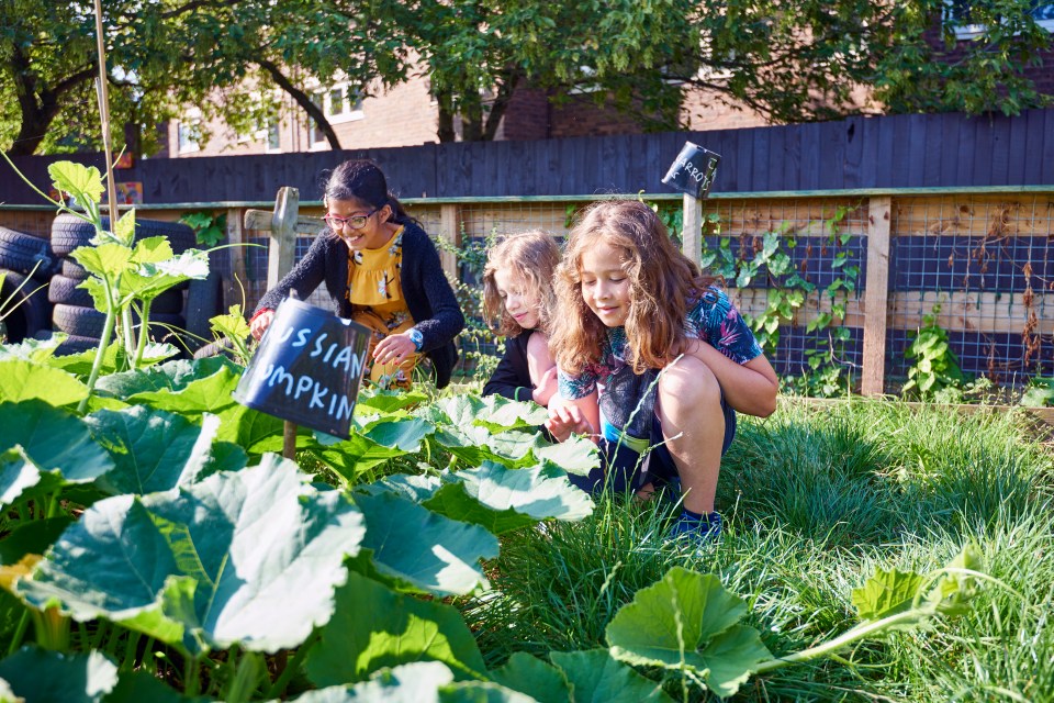 Three children examining a pumpkin plant in a garden.