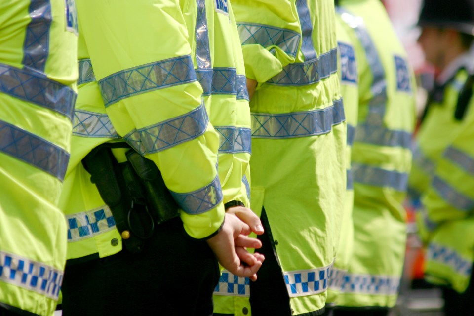 Police officers in bright yellow jackets controlling a crowd.
