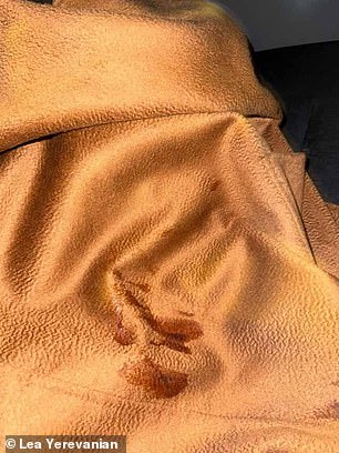 Fortunately .Ms Yerevanian clocked on to the ploy before it was too late, but her £4,500 coat was ruined by the sauce stain (pictured)