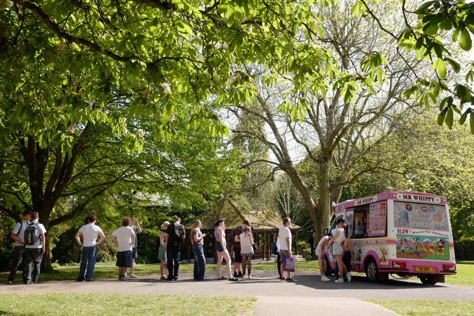 People queueing for ice cream from a van in a park.