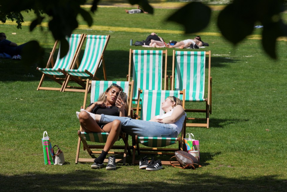 People relaxing in deck chairs on a sunny day in a park.