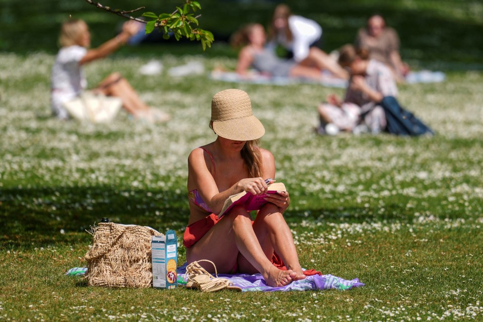 Woman reading a book in a park.