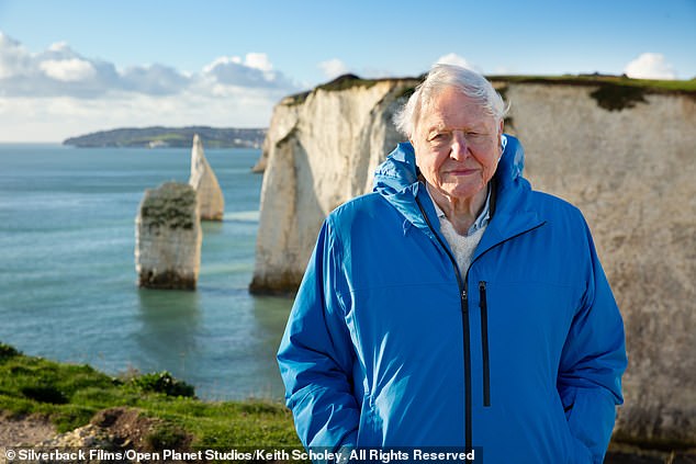 David's poignant words came amid the filming for his latest series  Ocean: With David Attenborough [pictured]