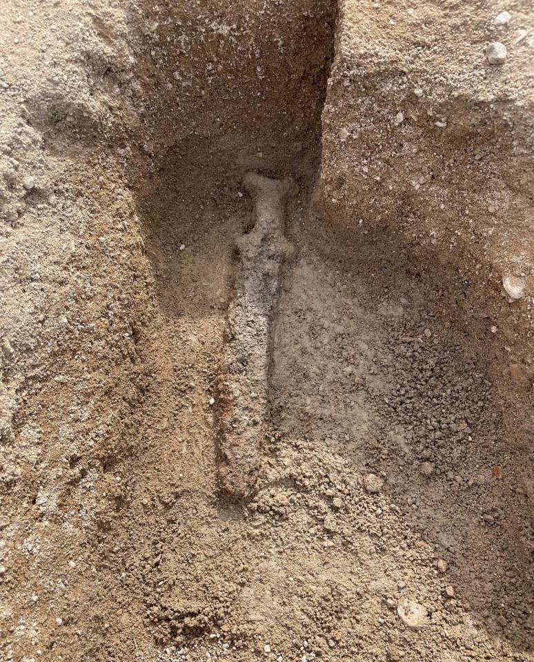 Ancient sword unearthed during dig.