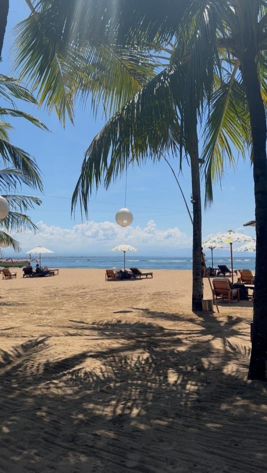 Beach scene with palm trees and beach chairs.