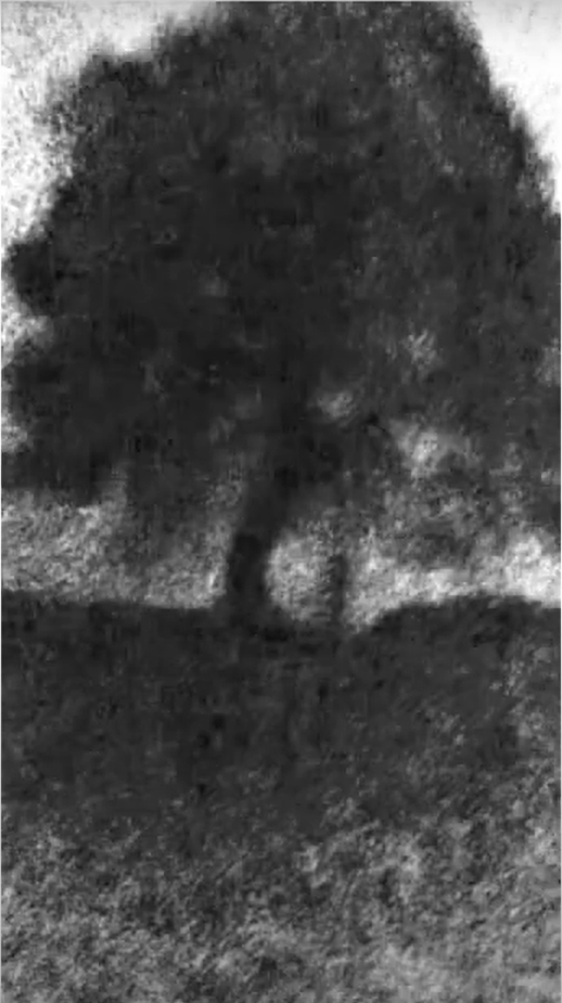 Black and white illustration of a tree.