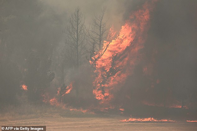 The Fire and Rescue Service's Jerusalem District commander said conditions could get even worse due to strong winds