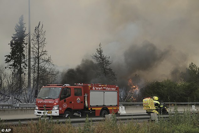 Israel Katz, the defence minister, said in a statement: 'We are facing a national emergency, and all available forces must be mobilised to save lives and bring the fires under control'
