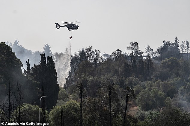 Dov Ganem, chairman of the Israel Fire and Air Rescue Association, told the Walla news site that he had been warning for 18 years about the state's lack of preparedness for massive fires