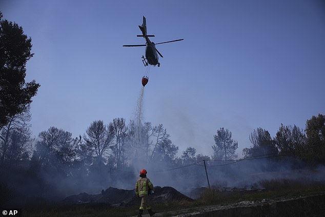 He said he had long pushed for advanced aerial firefighting