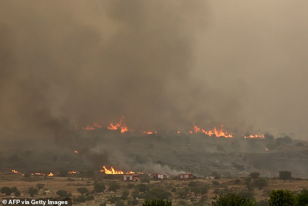 Israeli police have reportedly arrested three suspects in connection to the wildfires, though authorities have said it is too early to determine the cause of the initial blaze
