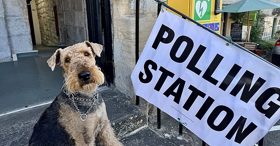 Undated handout photo issued by Niall Cook of Margo the Airedale Terrier, outside a polling station in Gloucestershire as voters go to the polls in 23 council areas across England, and vote in six mayoral contests across devolved regions. The hashtag #dogsatpollingstations was used frequently on X, formerly known as Twitter, on Thursday, amid a total of 1,641 council seats being up for grabs across 23 local authorities. Issue date: Thursday May 1, 2025. PA Photo. See PA story POLITICS ElectionsDogs. Photo credit should read: Niall Cook/PA Wire NOTE TO EDITORS: This handout photo may only be used for editorial reporting purposes for the contemporaneous illustration of events, things or the people in the image or facts mentioned in the caption. Reuse of the picture may require further permission from the copyright holder.