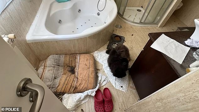 Spanish police said the house was in a disgusting state, with hoards of rubbish and mountains of accumulated medicines. A bathroom appeared to be used for a sick cat