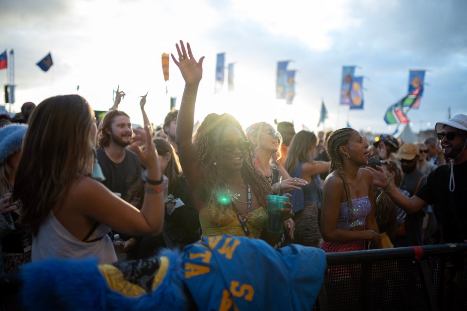 People enjoying music at a festival.