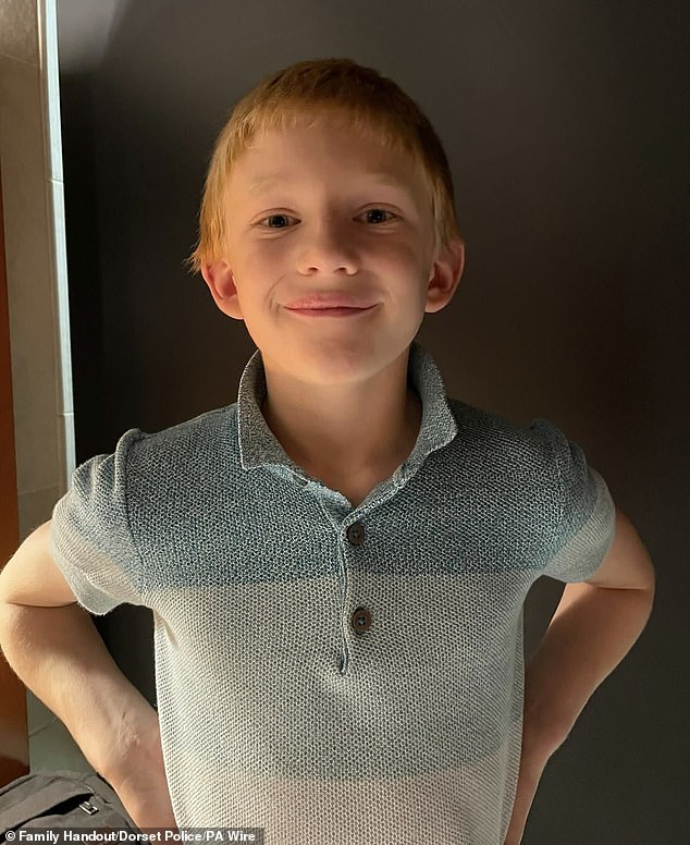 The youngster's devastated father, Josh Roe, said he felt 'betrayed' by the professional services who he had tried to warn about his wife's dangerous behaviour