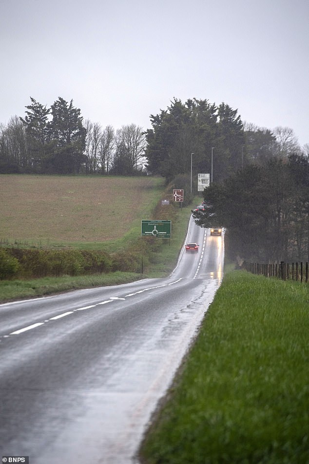 The fatal crash occurred after Roe attempted to overtake another vehicle on the A354 near East Woodyates in Blandford, Dorset