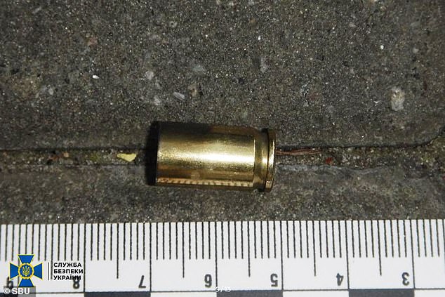 She was later given instructions on where to pick up a pistol and ammunition, before being told to kill the activist near his home on May 1