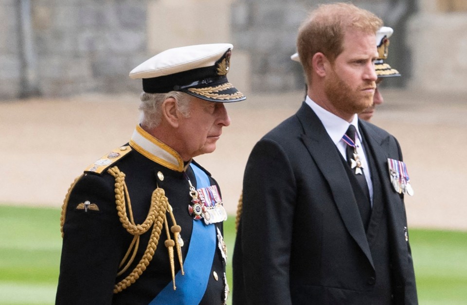 prince charles and prince harry are standing next to each other