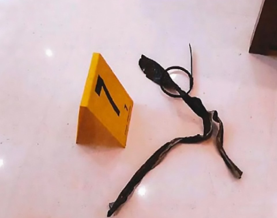 Gag used in Kim Kardashian robbery.