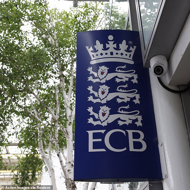 On Friday, the England and Wales Cricket Board declared transgender women would be blocked from taking part in all levels of the women's game (stock photo)