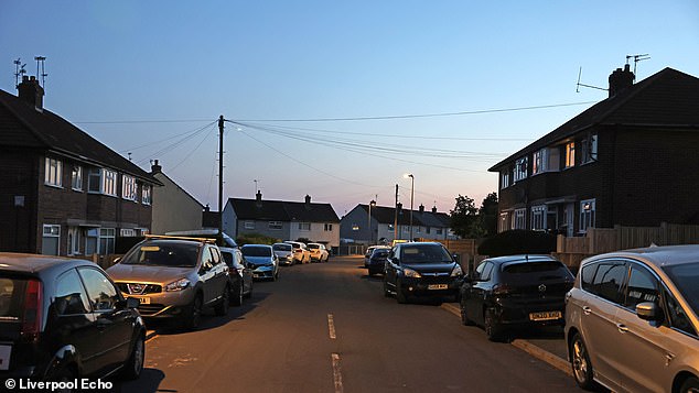The mother, who chose to remain anonymous said their six-month-old American bulldog never showed signs of aggression before the ambush in Prescot, Merseyside