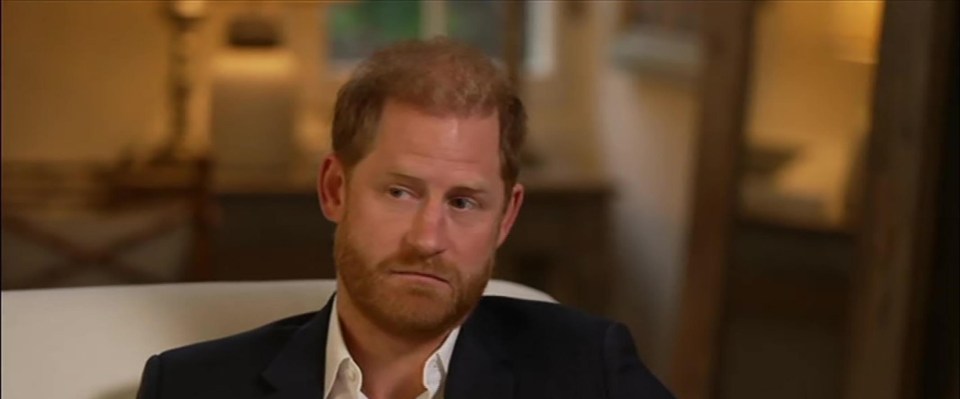 Prince Harry in an interview with BBC News.