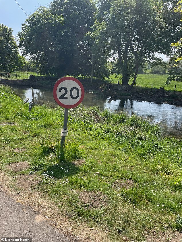 'To be honest, I'm amazed they haven't been run over before because this is a busy road and although it is a 20mph speed limit, few motorists comply,' one local said