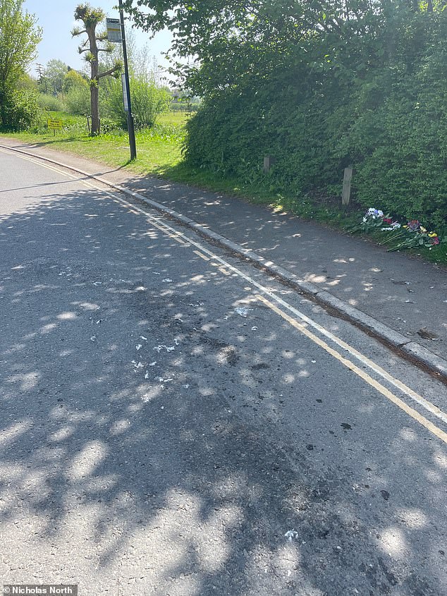 'You can still see the remnants of blood and feathers in the road where it happened,' Mr Clements said