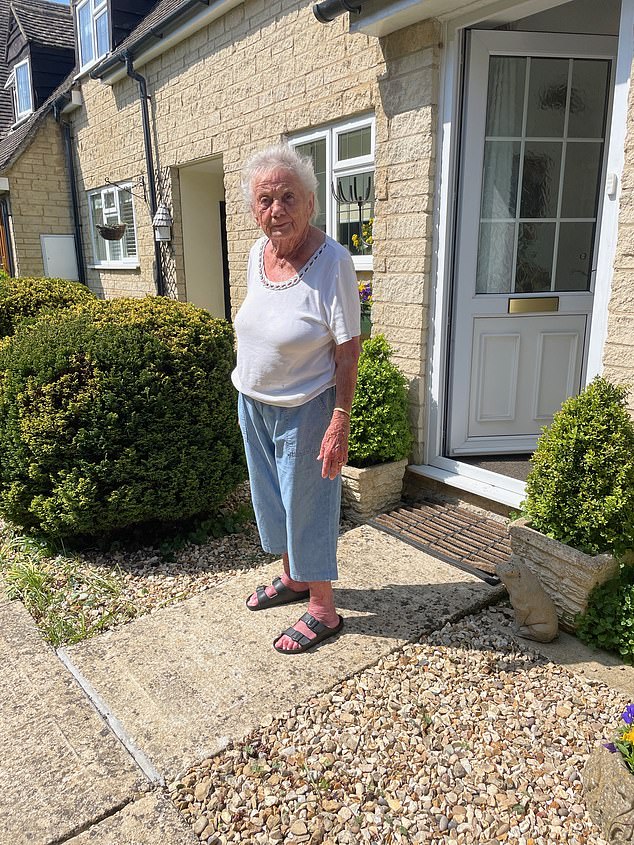 Retired midwife Jan Thomson, 86, described the geese as 'part and parcel' of life in the bustling town