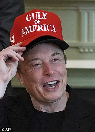 Pictured: Elon Musk during a cabinet meeting at the White House on April 30, 2025