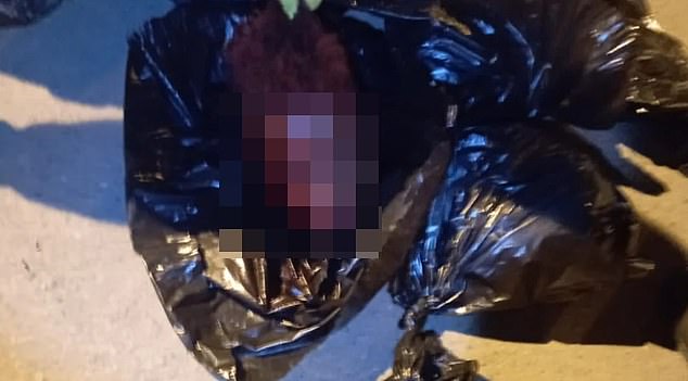 A trio of severed heads are found wrapped in black bags after a cartel killing spree
