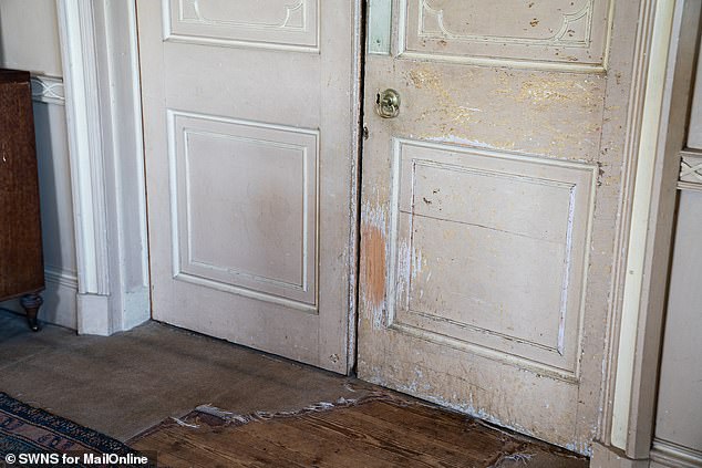 Doors and floorboards in the house show signs of scratches and wear and tear