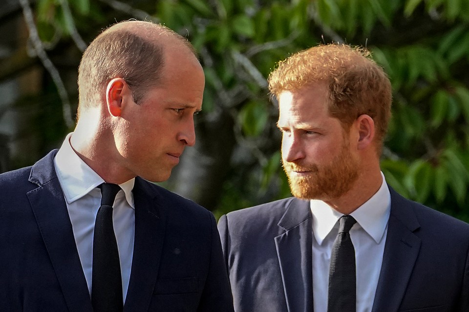 Prince William and Prince Harry side-by-side.