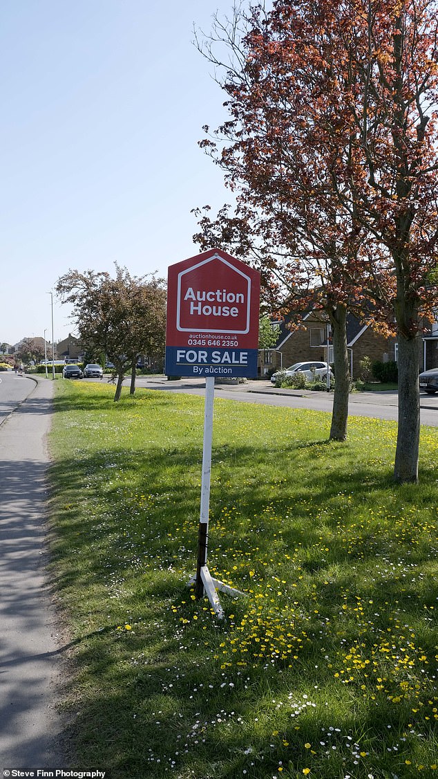 The tiny grass verge was listed for the bargain price of £1000