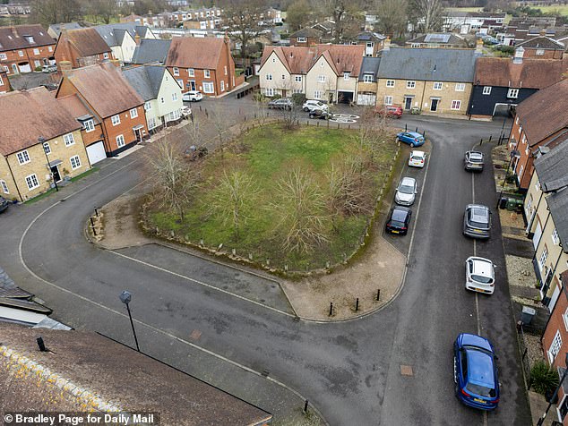 The green space at the centre of a ring of homes in Henlow, Bedforshire, have been snatched up by a mystery buyer for £9,000