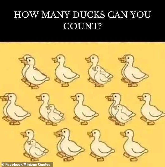 A Facebook page called Minion Quotes recently shared this optical illusion, which shows a flock of happy white ducks scattered across a bright yellow background