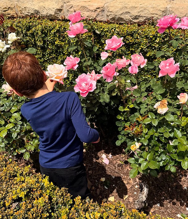 In the separate post by Meghan on Sunday, Archie is seen touching a pink-tinted white rose