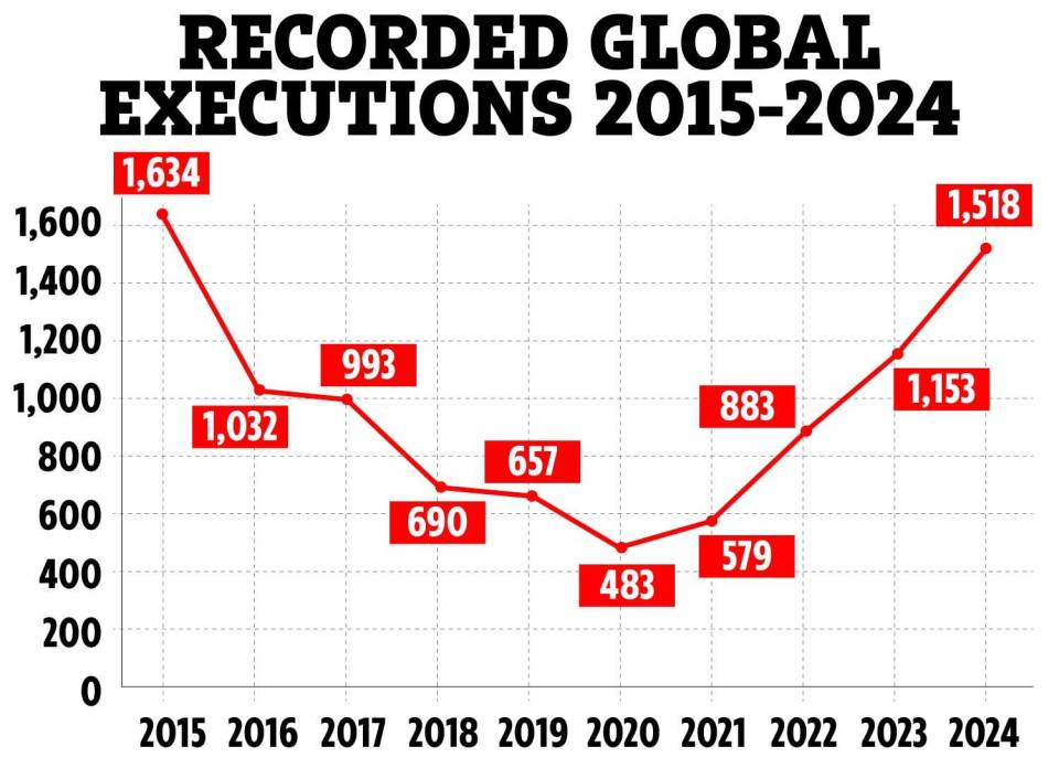 Line graph showing recorded global executions from 2015-2024.