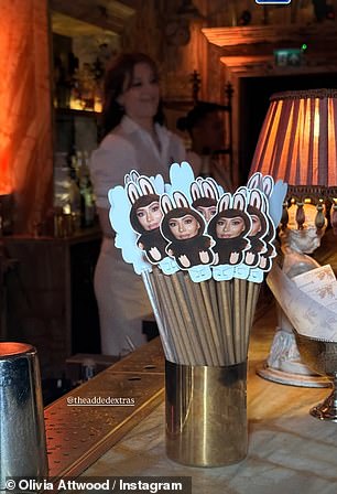 The welcome sign for her party also featured an image of her face as a Labubu, as the theme of the party centred around the viral craze