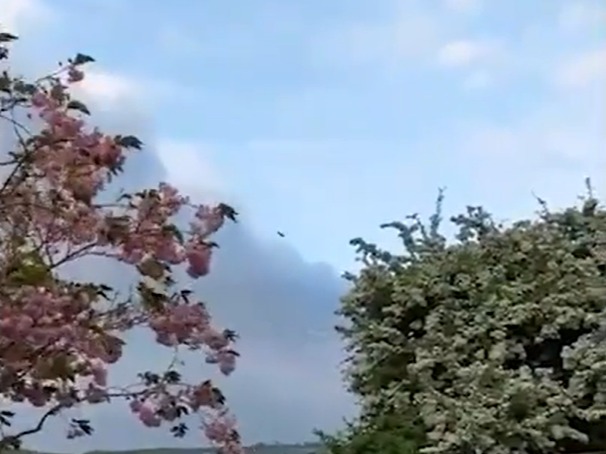 Pink and white flowering trees under a partly cloudy sky.