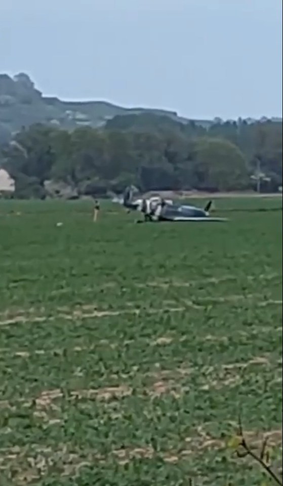 Airplane in a field.