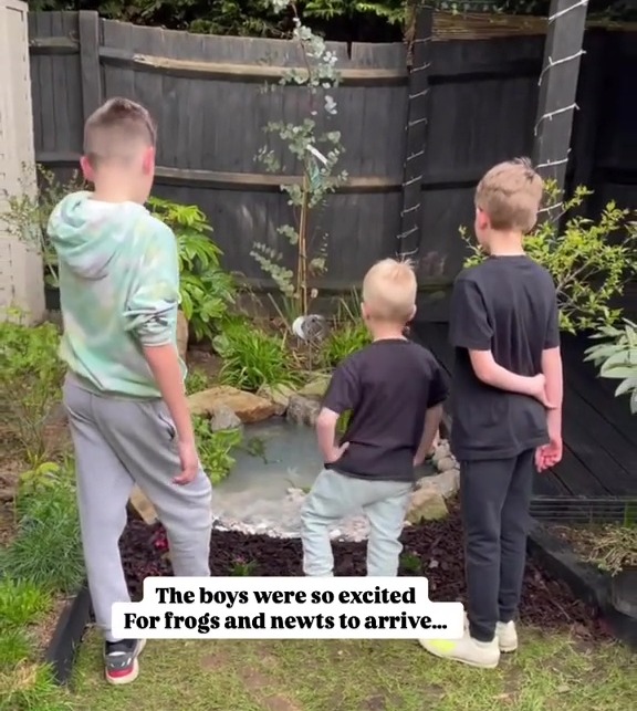 Three boys looking at a small pond in their garden, excited for frogs and newts.