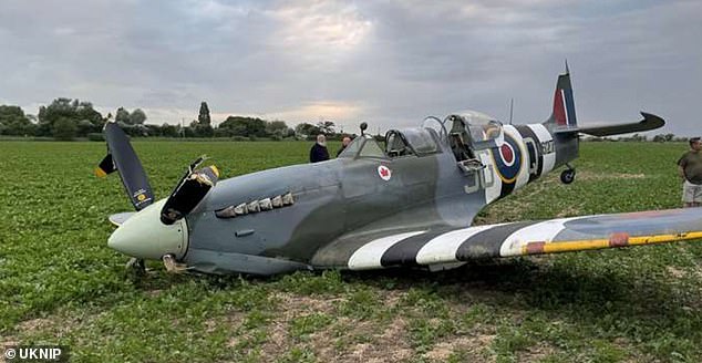 The warplane is seen lying in a field as onlookers gather around to inspect the damage